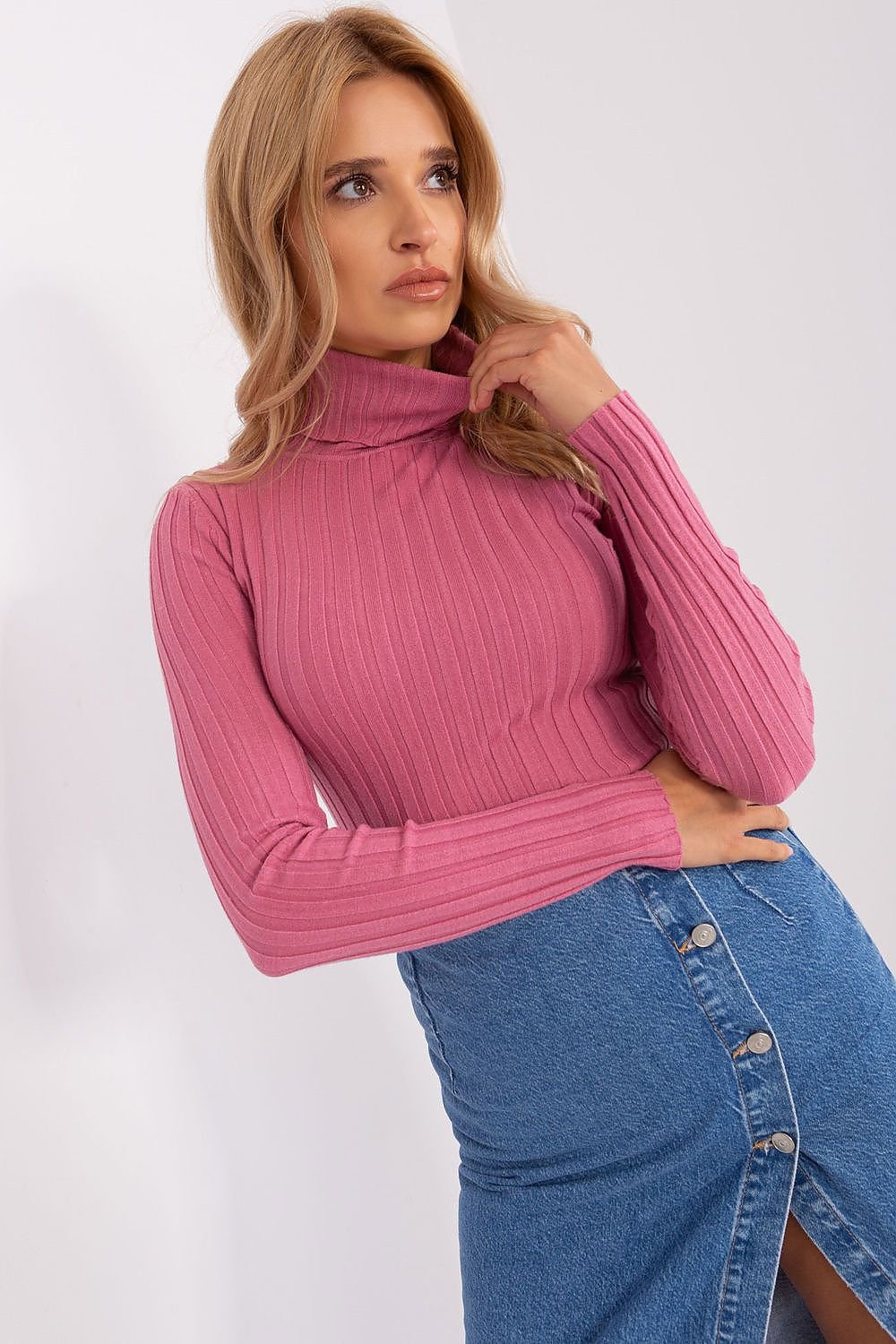 Turtleneck model 203009